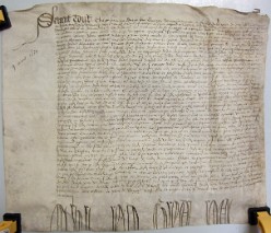 E3515 (06)